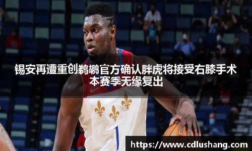 米兰锡安再遭重创鹈鹕官方确认胖虎将接受右膝手术本赛季无缘复出